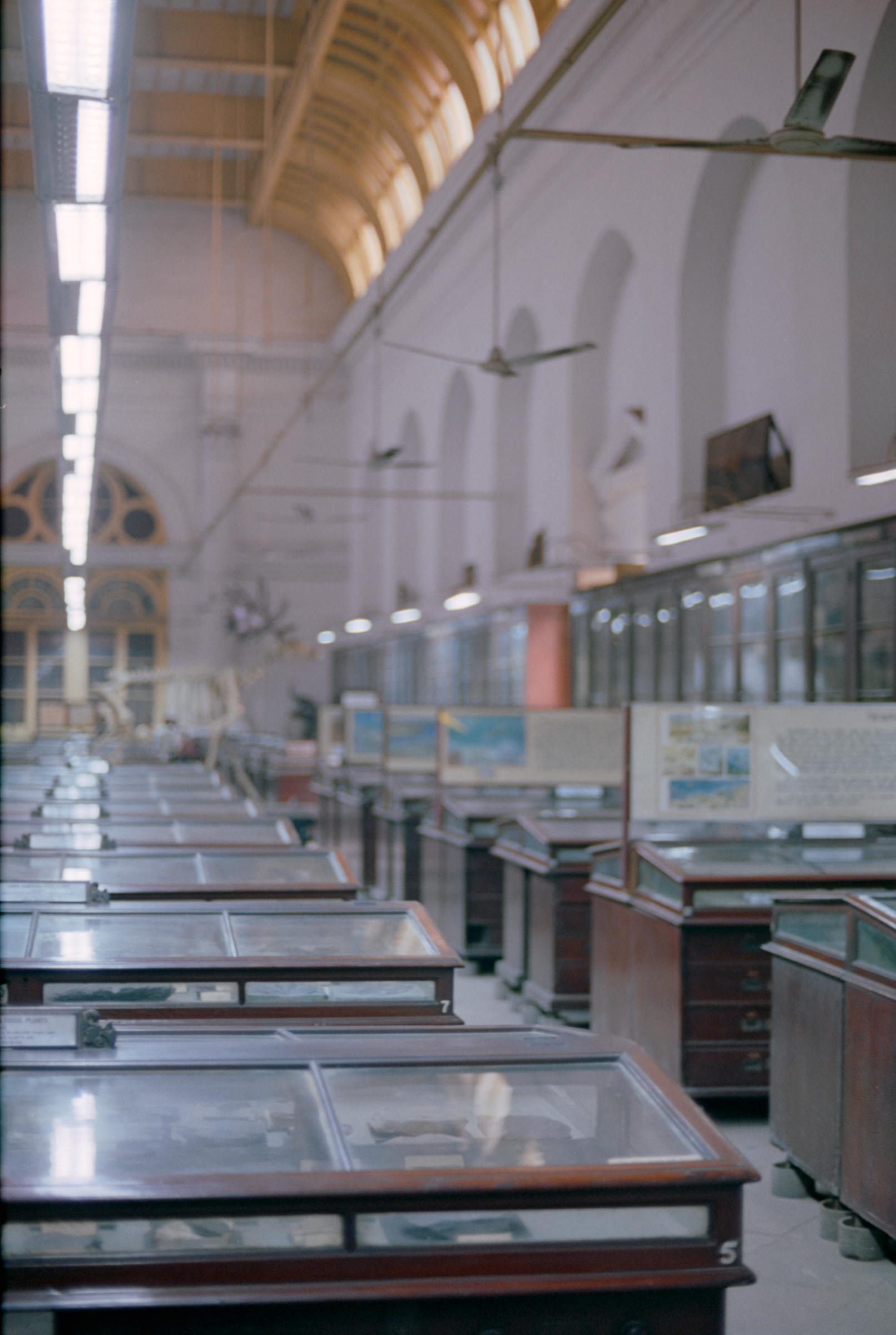 AHP film 2005 01 002 sc240825 img03 NLP